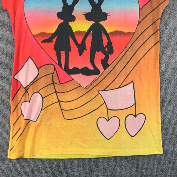 Vintage Jodie Arden Looney Tunes Sweetheart Sleep Shirt Womens XXL Multi - Picture 10 of 14